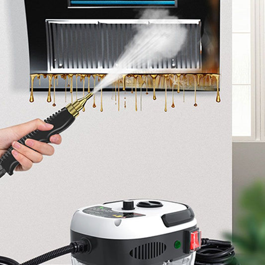 Pulitore a vapore portatile ad alta temperatura pressurizzato da 2500W
