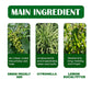 Spray Antiacari Potente