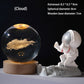 🥳SVENDITA 2026🥳💞OLTRE 50.000 PEZZI VENDUTI!💫🌌 Porta la galassia nella tua stanza. Luce notturna con sfera di cristallo 3D – 50% DI SCONTO! ✨🌙