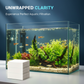 🐠⏰ Ultimo Giorno | Pastiglie Chiarificanti Acqua Acquario -50%