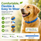 🎉 OFFERTA LAMPO 50% DI SCONTO 🐶🐱 – Collare antipulci e zecche a base vegetale 🌿 Protezione fino a 8 mesi, oli a rilascio lento, resistente all'acqua 💦 Respinge zanzare e larve, comodo e sicuro da indossare tutti i giorni 🐕