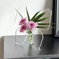 🎁 Offerta speciale: 49% di sconto 🔥 Vaso decorativo trasparente ispirato alle farfalle