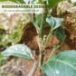 🌱 50 guaine in silicone per innesto – Flessibili, resistenti e favoriscono la guarigione degli alberi da frutto 🌳✨