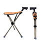 Bastone Pieghevole 2 in 1 con Sedia