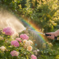 Lancia ad Acqua ad Alta Pressione