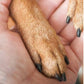 Lima per unghie in legno per animali domestici con cuscinetti sostituibili
