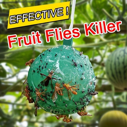 🔥Trappole adesive sospese per moscerini della frutta