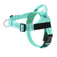 🐶🐾 Facile On-Off imbottito per cani - No-Pull & Respirable - Sicuro e confortevole