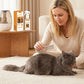 💥Sconto del 50% nell'ultimo giorno!💥Deodorante e spray districante per animali domestici