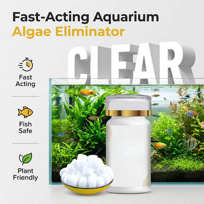 🎁⏰ Acquario Acqua Verde & Eliminatore di Muschi