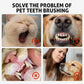 -50% Solo Oggi 🐶🐱 Penna Dentale per Cani e Gatti