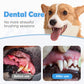 -50% Solo Oggi 🐶🐱 Penna Dentale per Cani e Gatti