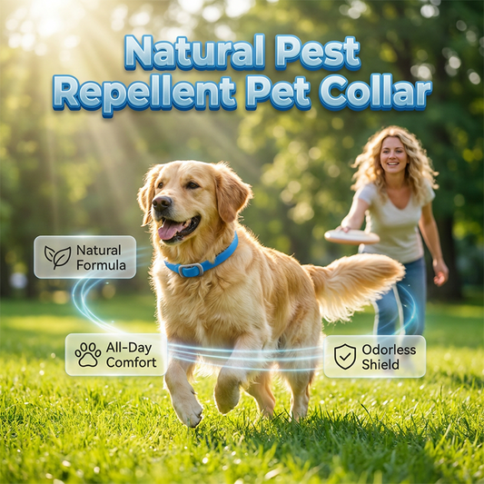 🎉 OFFERTA LAMPO 50% DI SCONTO 🐶🐱 – Collare antipulci e zecche a base vegetale 🌿 Protezione fino a 8 mesi, oli a rilascio lento, resistente all'acqua 💦 Respinge zanzare e larve, comodo e sicuro da indossare tutti i giorni 🐕