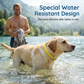 🎉 OFFERTA LAMPO 50% DI SCONTO 🐶🐱 – Collare antipulci e zecche a base vegetale 🌿 Protezione fino a 8 mesi, oli a rilascio lento, resistente all'acqua 💦 Respinge zanzare e larve, comodo e sicuro da indossare tutti i giorni 🐕