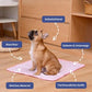 🧊 Tappetino rinfrescante estivo per animali domestici – il fresco che il tuo pet merita! 🐾❄️☀️