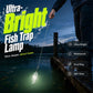 🎣💡 Luce LED da pesca – impermeabile, extra luminosa per la pesca notturna 🌊🔦 Compatta, con clip, 4 colori, migliora la visibilità dell'esca – ideale per la barca e dalla riva.