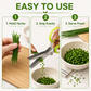 🔥 Oggi -50%! 🌿 Forbici da erbe aromatiche a 5 lame in acciaio inossidabile