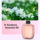Diffusore automatico per aromaterapia